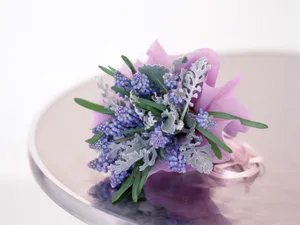 室内花 第五辑_6