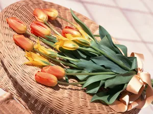 室内花 第五辑_8