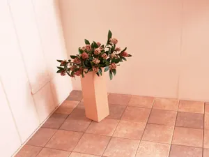 室内花 第五辑_9