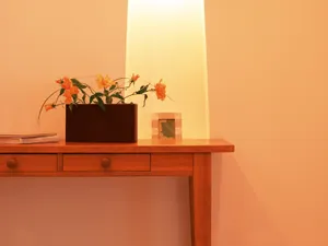 室内花 第五辑_10