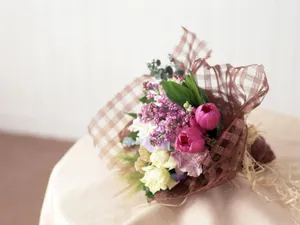 室内花 第五辑_13