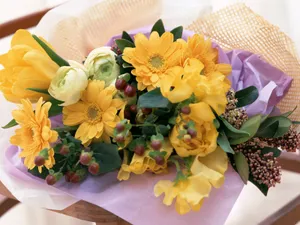 室内花 第五辑_18