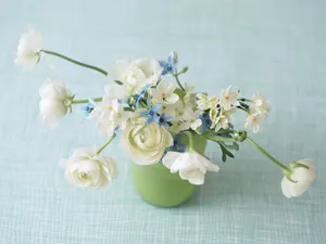 室内花 第四辑_4
