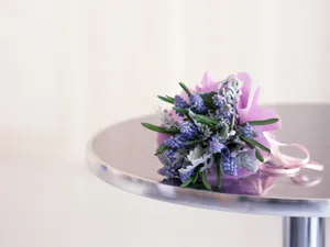 室内花 第四辑_6