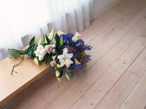 室内花 第四辑_9