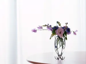室内花 第四辑_10