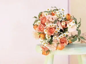 室内花 第四辑_12