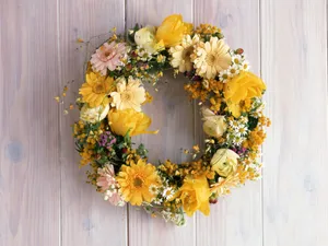 室内花 第三辑_3
