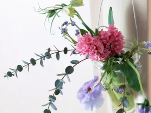 室内花 第三辑_4