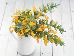 室内花 第三辑_11