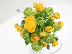 室内花 第三辑_18