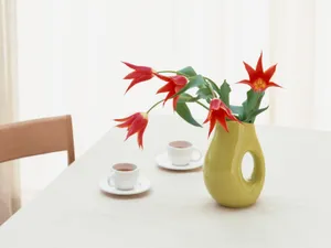 室内花 第二辑