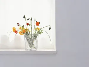 室内花 第二辑_2