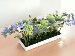 室内花 第二辑_4