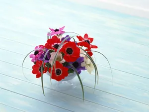 室内花 第二辑_5