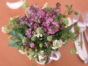 室内花 第二辑_13