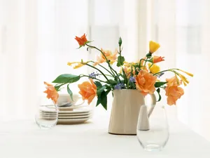室内花 第二辑_14