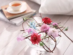 室内花 第一辑