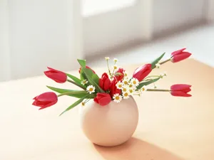 室内花 第一辑_11