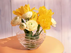 室内花 第一辑_12