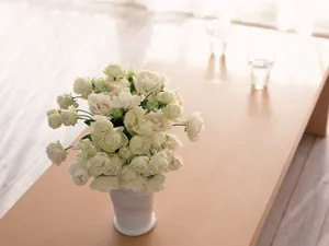 室内花 第一辑_15