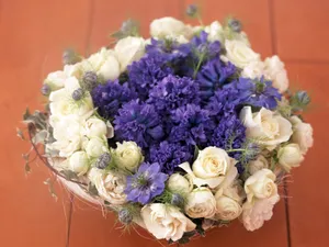 室内花 第一辑_17