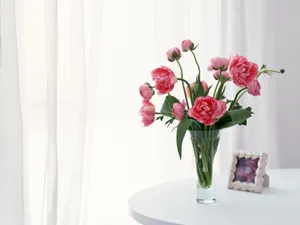 室内花 第一辑_18