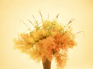 鲜花装饰 第十辑_3