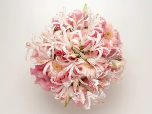鲜花装饰 第十辑_6