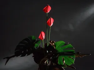 鲜花装饰 第十辑_13