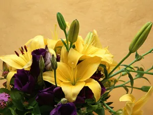 鲜花装饰 第九辑_4