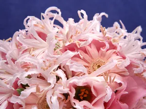 鲜花装饰 第九辑_8