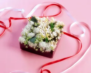 鲜花装饰 第八辑_2