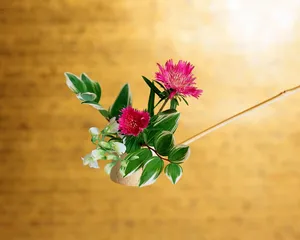 鲜花装饰 第八辑_5