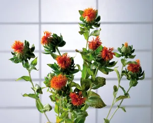鲜花装饰 第八辑_8