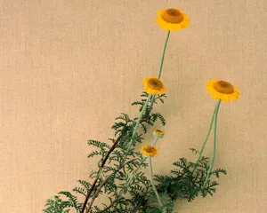 鲜花装饰 第八辑_11