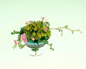 鲜花装饰 第八辑_16