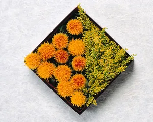 鲜花装饰 第八辑_19