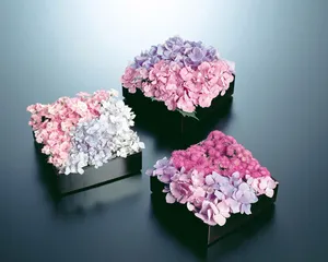 鲜花装饰 第七辑