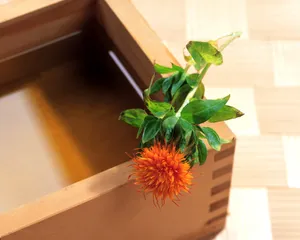 鲜花装饰 第七辑_2