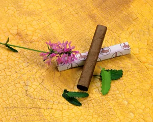 鲜花装饰 第七辑_3