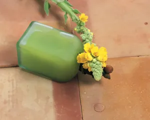 鲜花装饰 第七辑_7