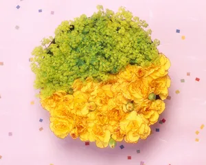 鲜花装饰 第七辑_18