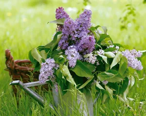 鲜花装饰 第六辑_5