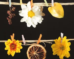鲜花装饰 第六辑_9