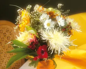 鲜花装饰 第六辑_11