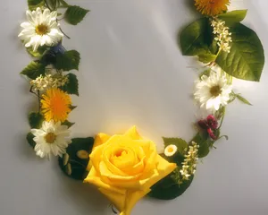 鲜花装饰 第五辑_2