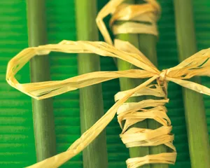 鲜花装饰 第五辑_5