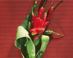 鲜花装饰 第五辑_11