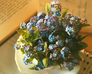 鲜花装饰 第四辑_10